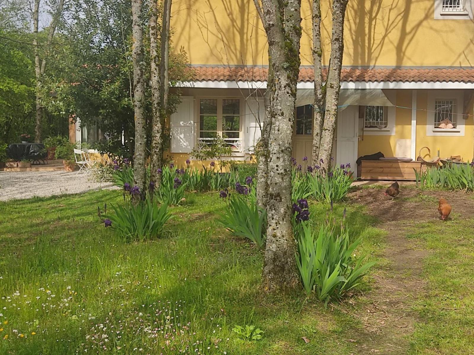 La Frenaie Bed & Breakfast Saint-Cyr-sur-le-Rhone Ngoại thất bức ảnh